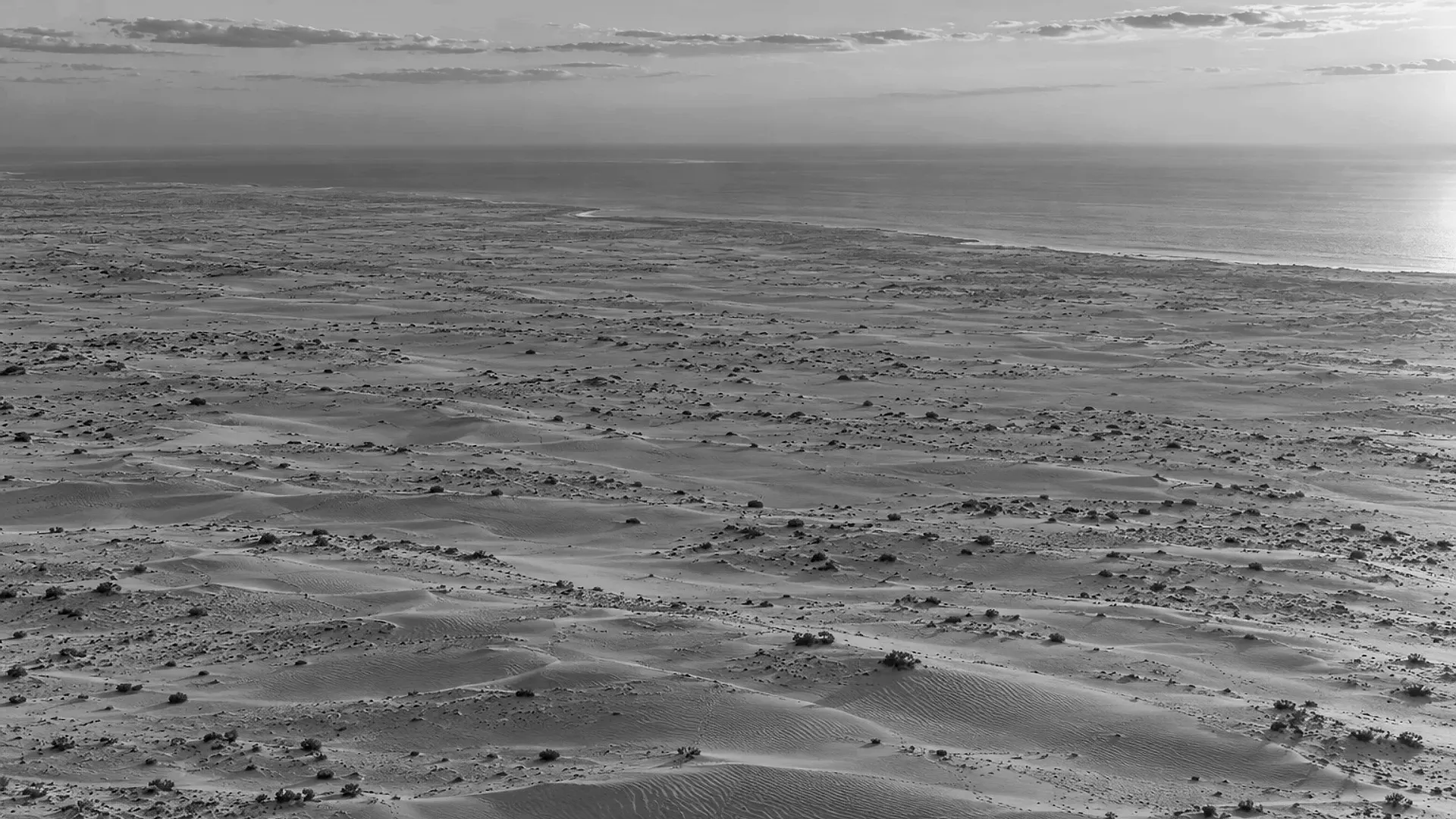 Open desert dunes running down to the Arabian Gulf coast before Dubai was built: the land, where every property story starts