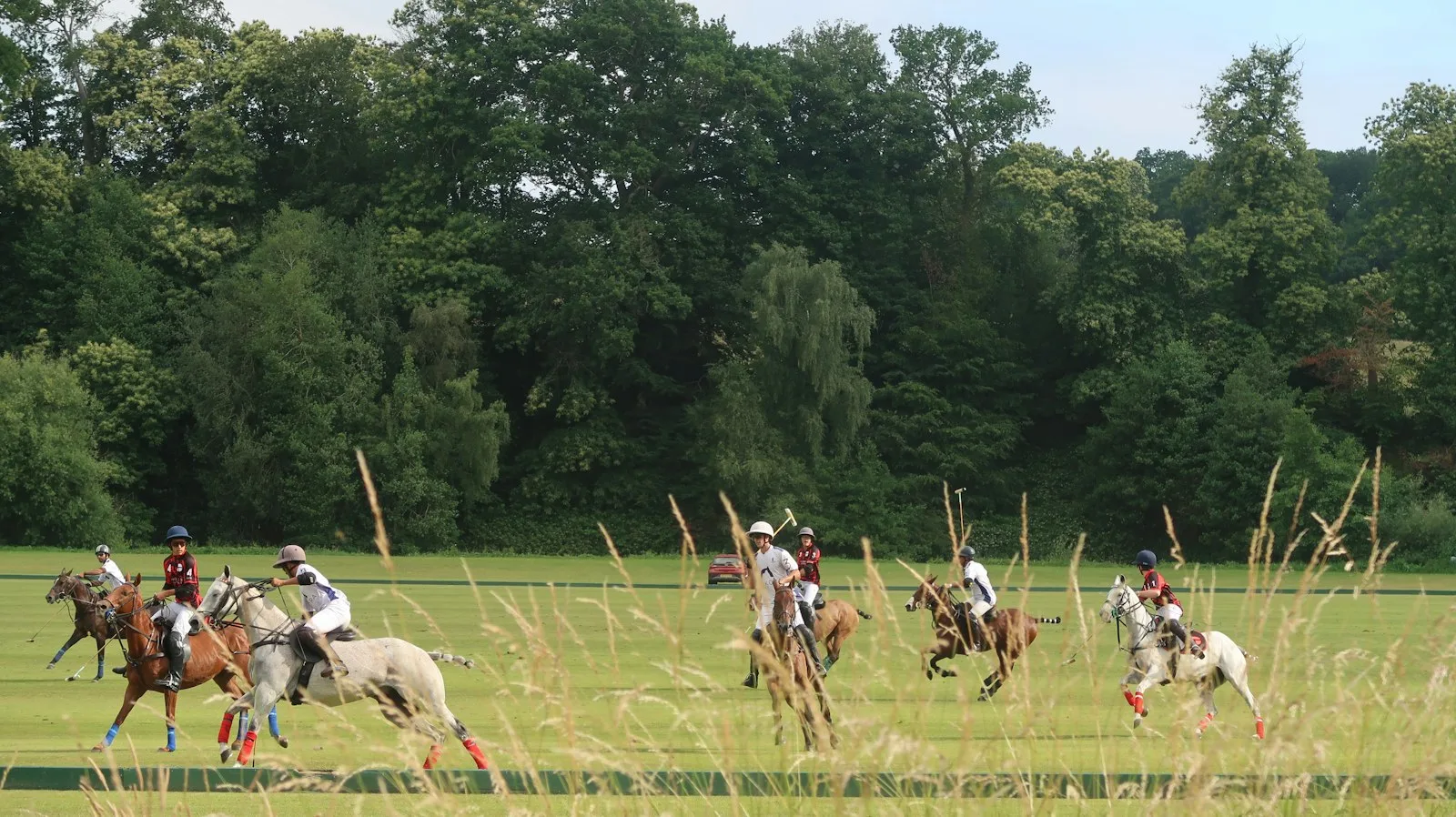 Emaar Polo, Dubai: the community, homes and setting covered in this Emaar Polo property guide