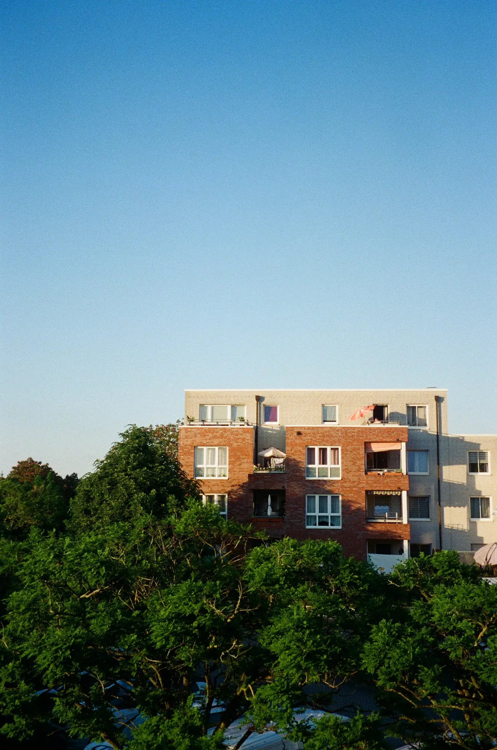 Ghaf Woods, Dubai: the community, homes and setting covered in this Ghaf Woods property guide